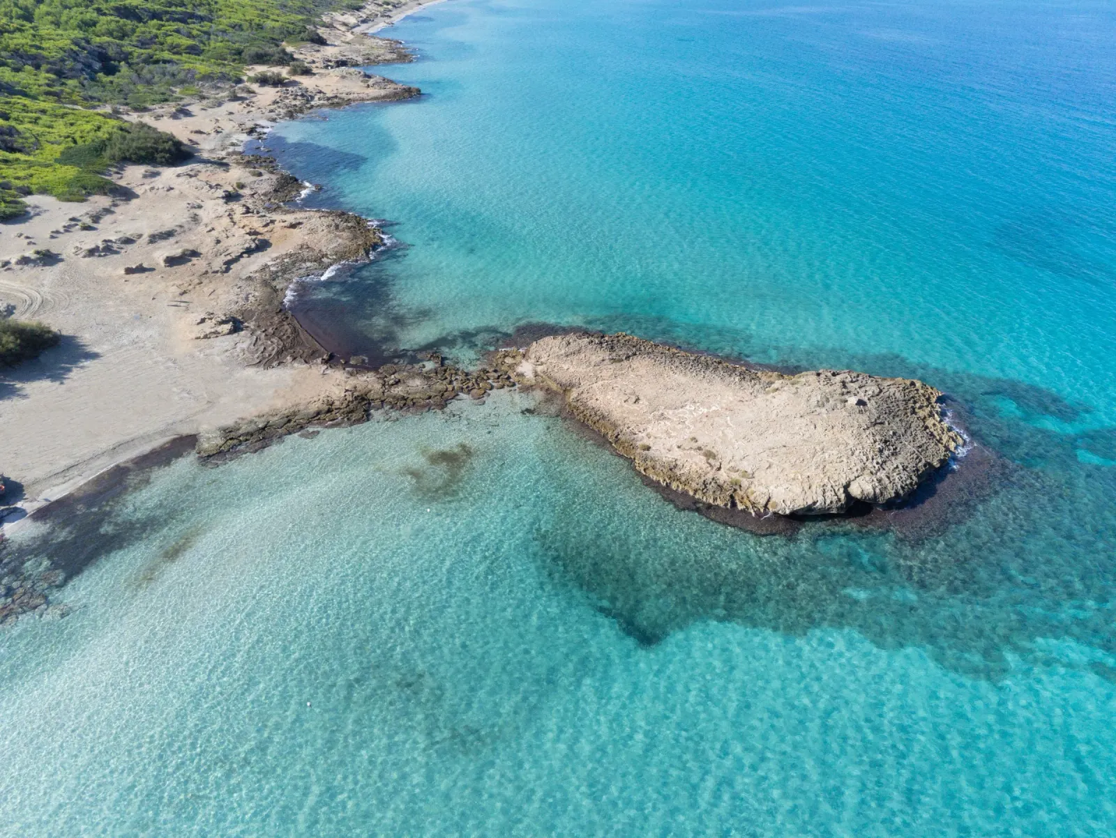 Punta della Suina, baia di Gallipoli con scogliera e pineta nel Salento