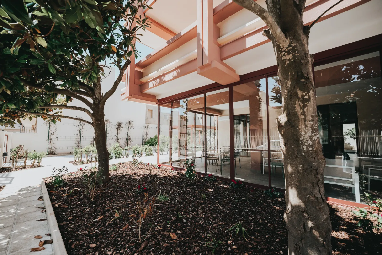 Giardino condiviso con uliveto al Lares Cohousing in Salento